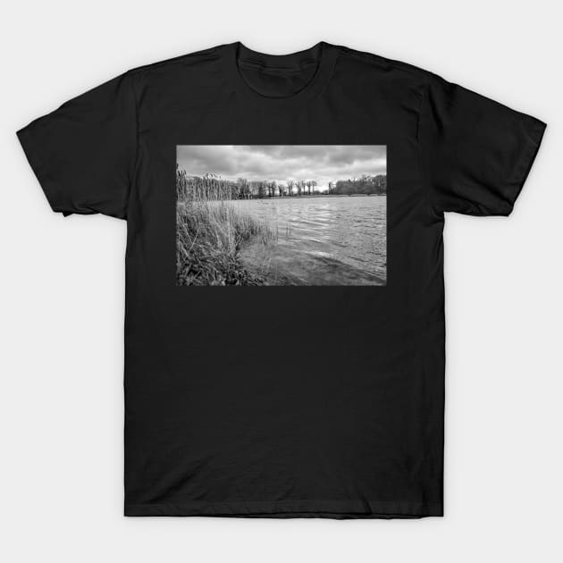 Riverside reeds blowing in the wind in the English countryside T-Shirt by yackers1